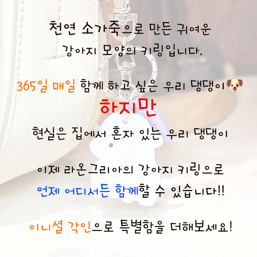강아지 설명.jpg